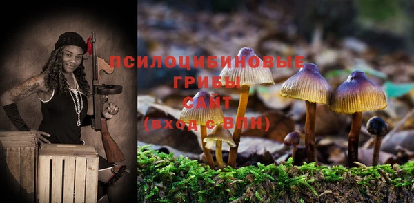 МДМА Богородицк