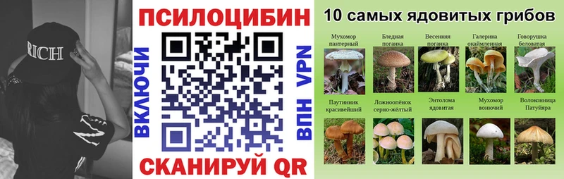 Галлюциногенные грибы прущие грибы  Неман 